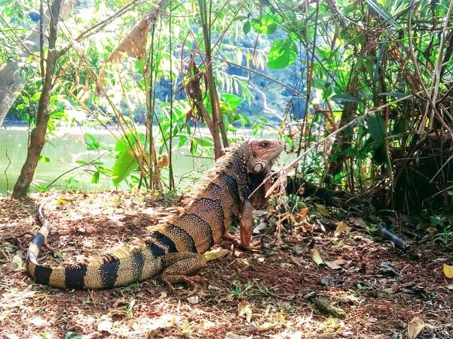 Eco Park Lake Las Garzas